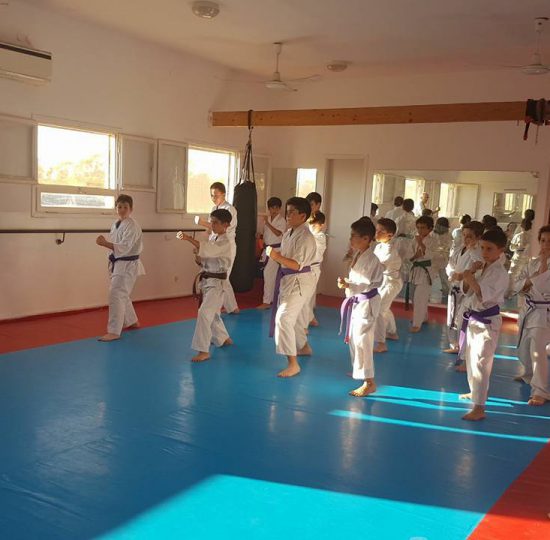 דוג'ו עין עירון