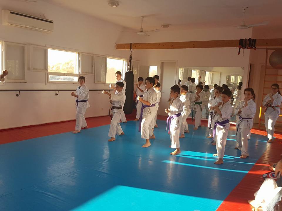 דוג'ו עין עירון