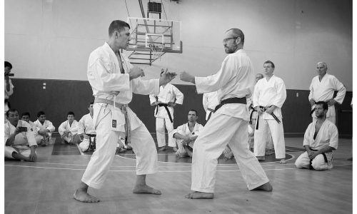 התודעה בקראטה